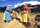 Chiang Mai Mae Hong Son Eco Soft Adventure